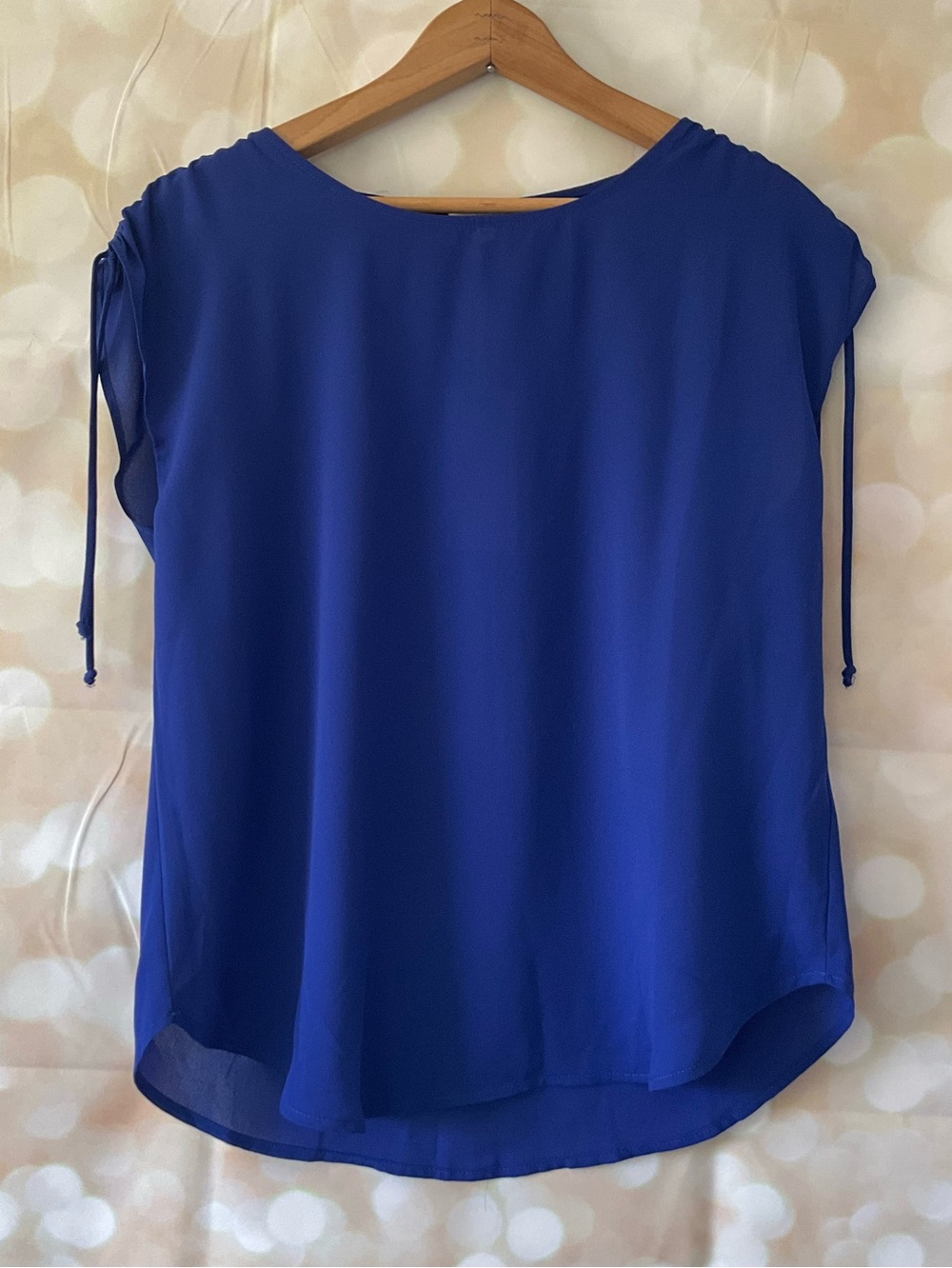 Pleione Blue Sheer Blouse